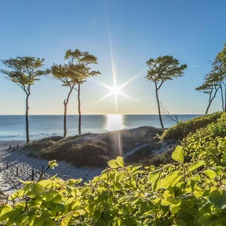 Apartmán Seenebel Prerow